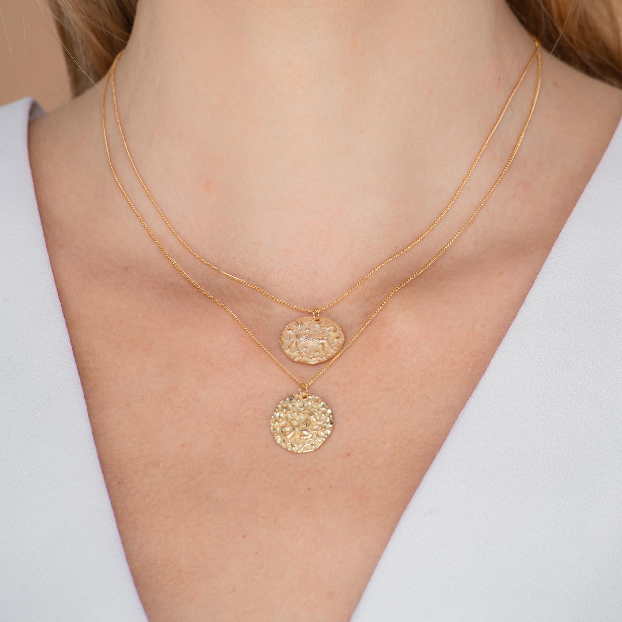 Aries - Star Sign Necklace - Camile & Stone