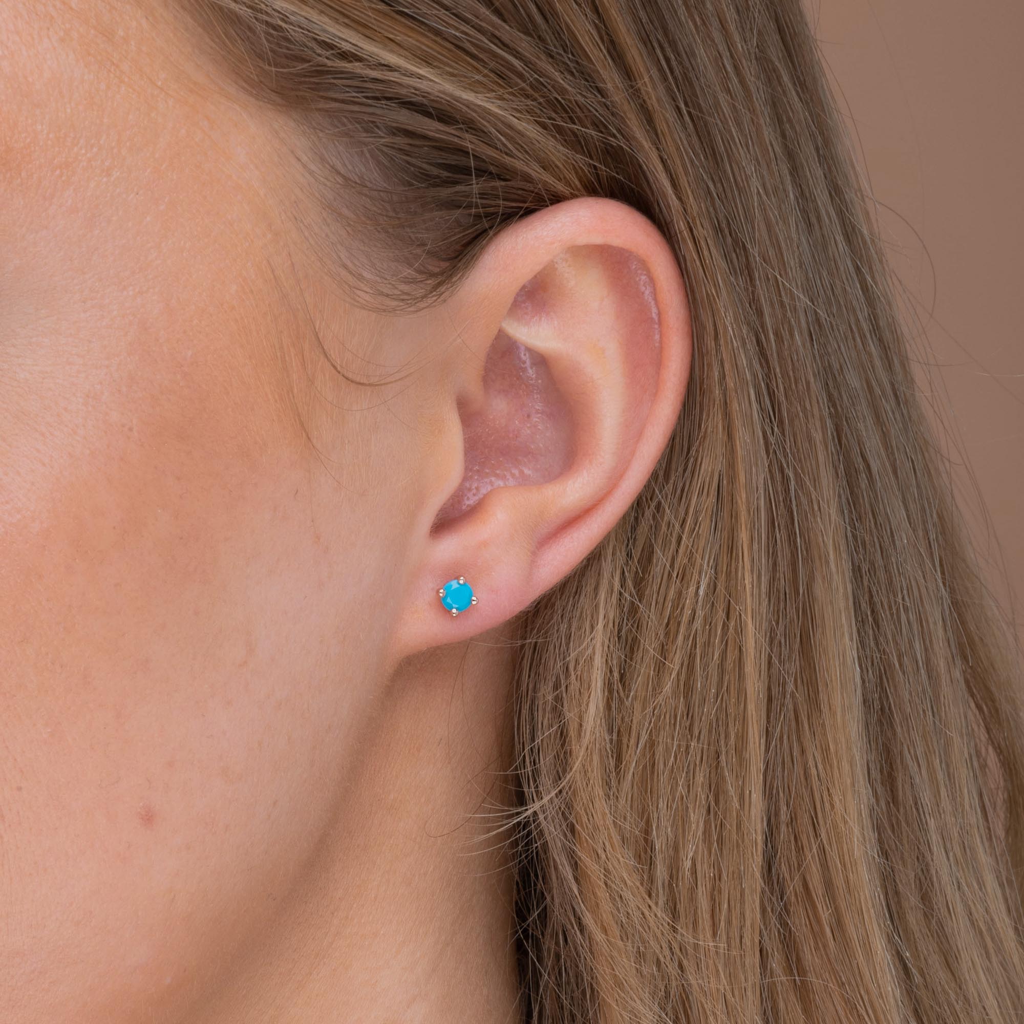 Classic Birthstone Earrings December - Camile & Stone