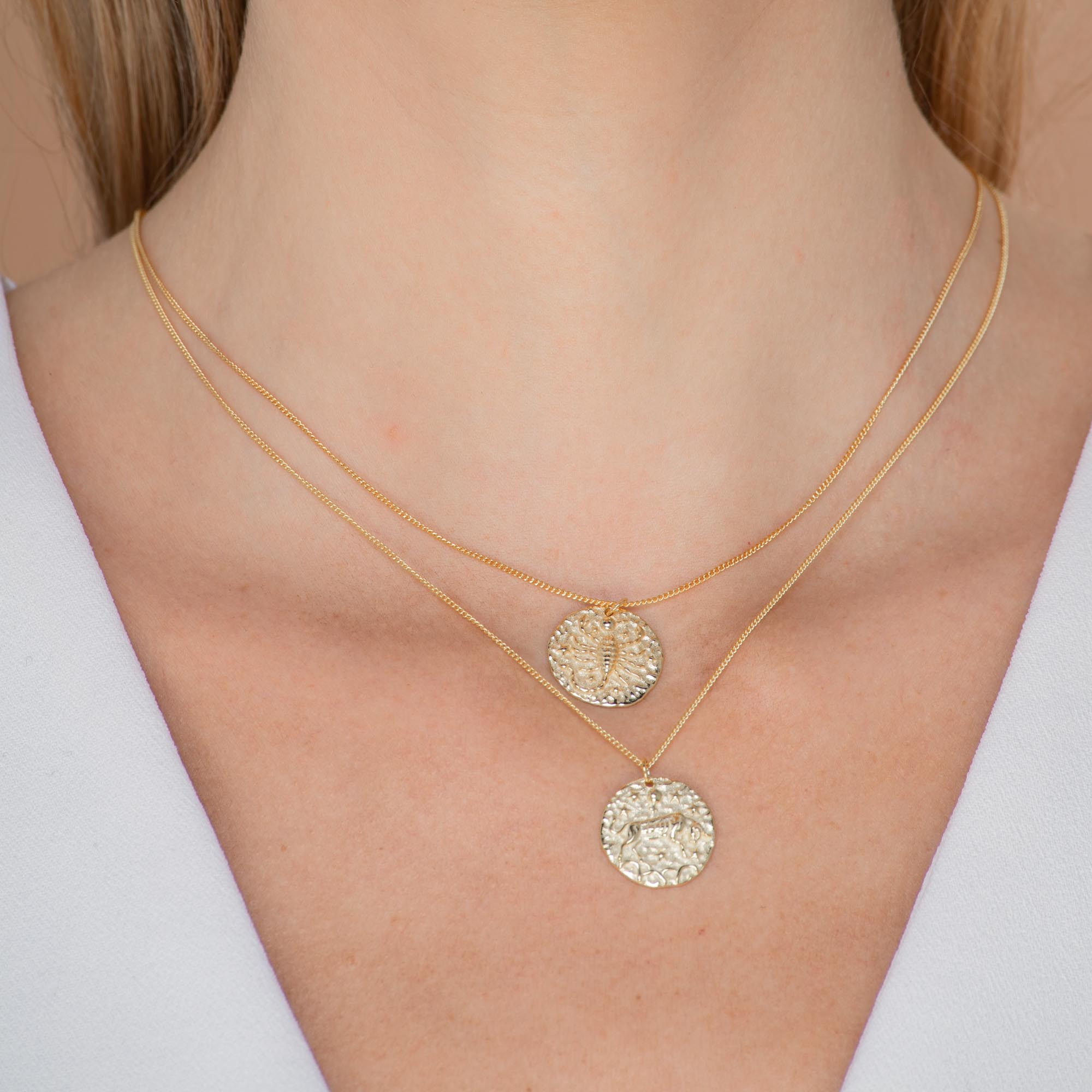 Taurus - Star Sign Necklace - Camile & Stone