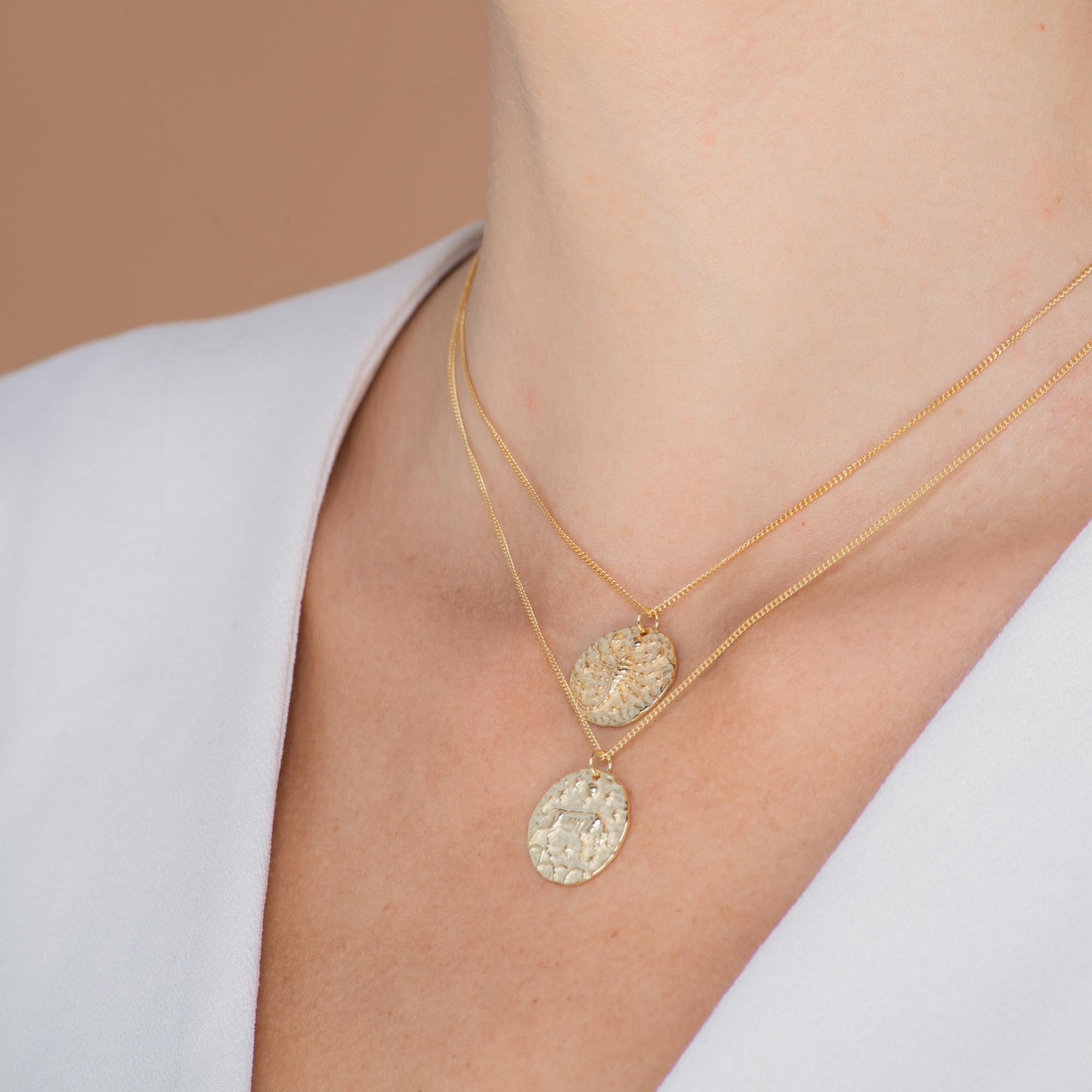 Taurus - Star Sign Necklace - Camile & Stone
