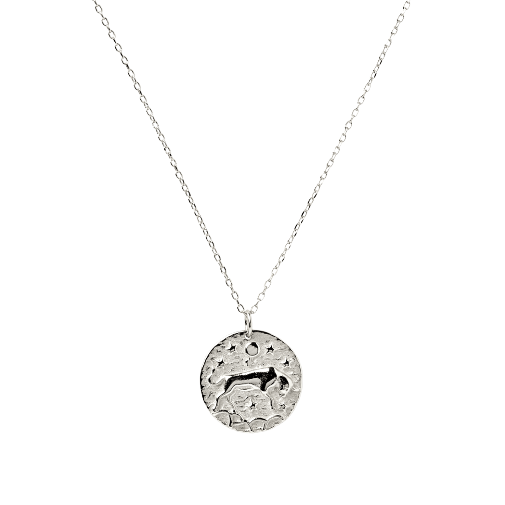 Taurus - Star Sign Necklace - Camile & Stone
